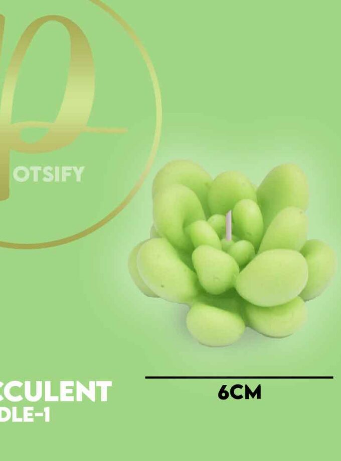 SUCCULENT CANDLE-1