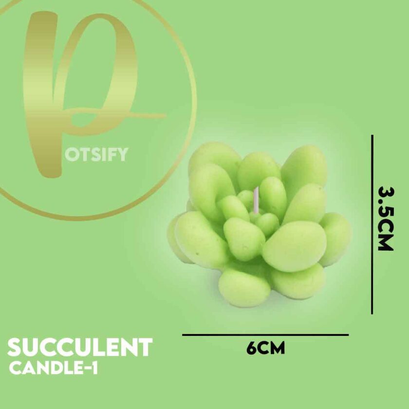 SUCCULENT CANDLE-1