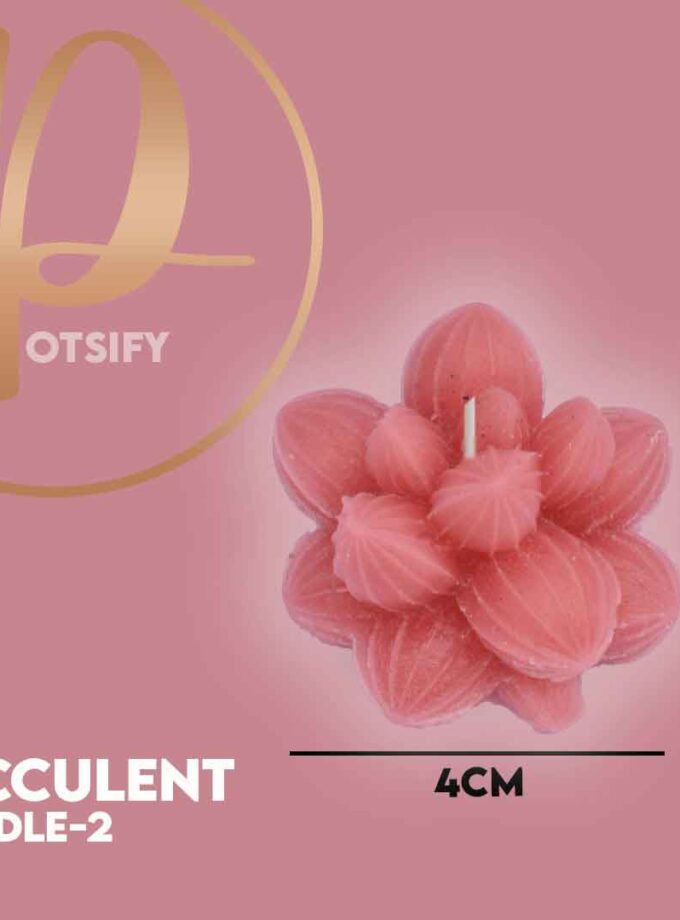 SUCCULENT CANDLE-2