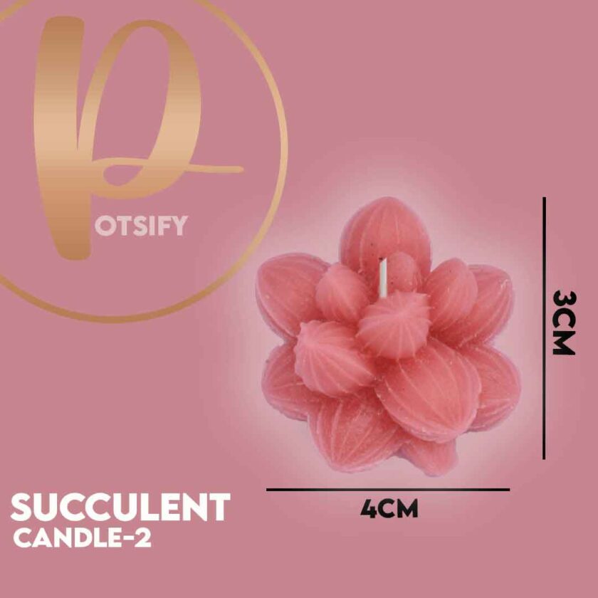 SUCCULENT CANDLE-2