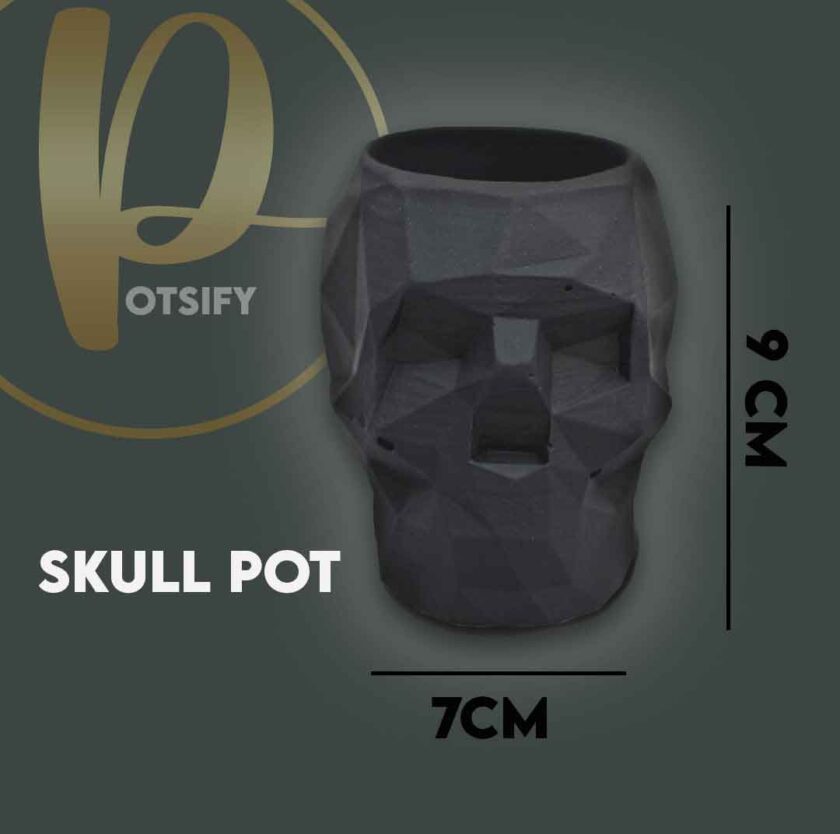 SKULL POT
