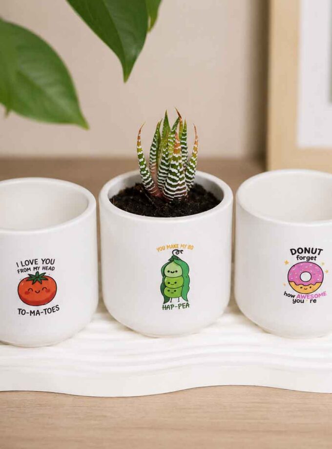 The Happiness Planter Trio