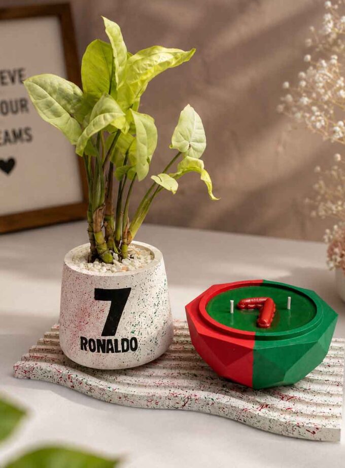 CR 7 set